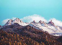 西海岸压哨扳回一城！何宇鹏犯规送点，戴维森造点+勺子点球命中